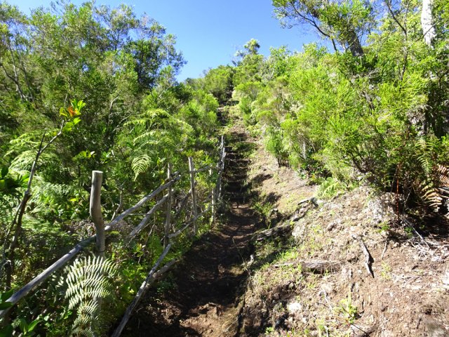 La végétation est remplacée par les branles verts et bois de rempart