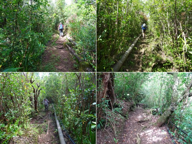 Beaucoup de marches le long de plusieurs canalisations