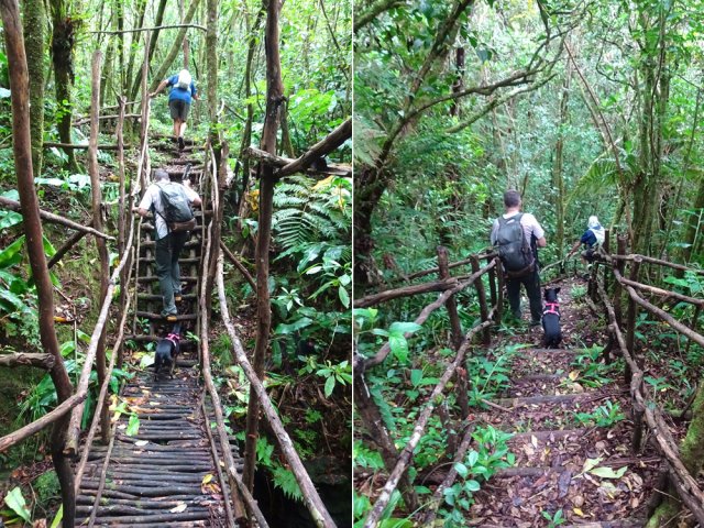 De nombreux ouvrages demeurent, toujours aussi solides