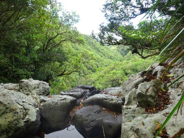 Le haut d'un grand cassé de la Ravine Sèche