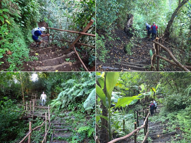 Très fortes descentes bien protégées de rambardes en goyavier