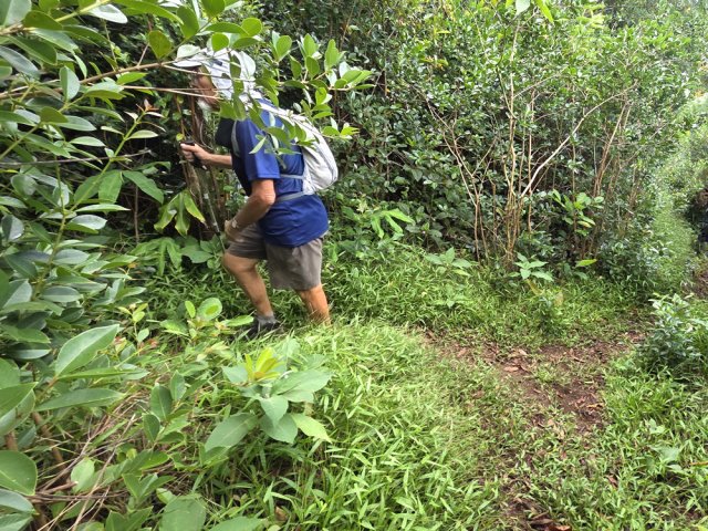Prendre à gauche au premier embranchement