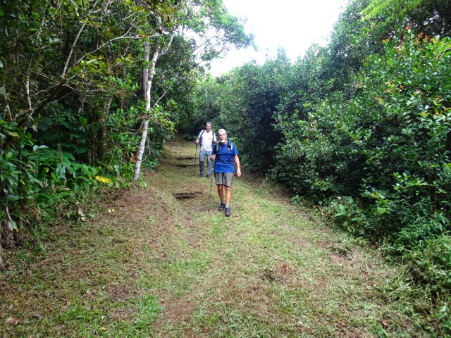 Le retour emprunte un large sentier en faible descente