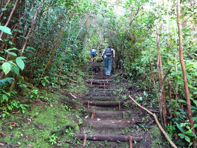 La remontée comporte les mêmes pourcentages que la descente