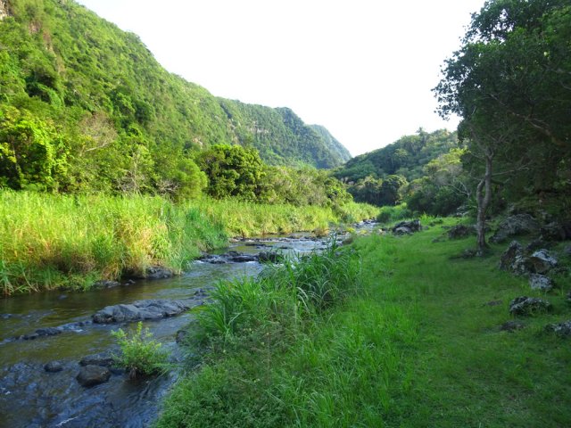 Pas de réel sentier, mais il est toujours facile de suivre la rivière
