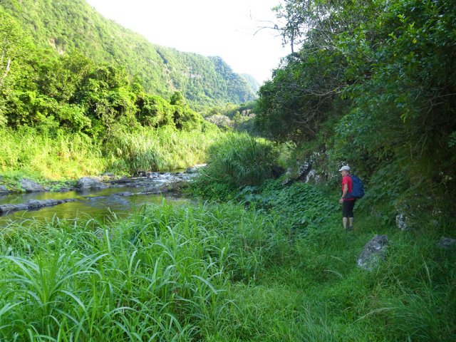 Un sentier herbeux passe près du talus rocheux