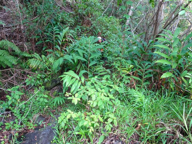 Son contournement en rive gauche s'effectue sans difficulté