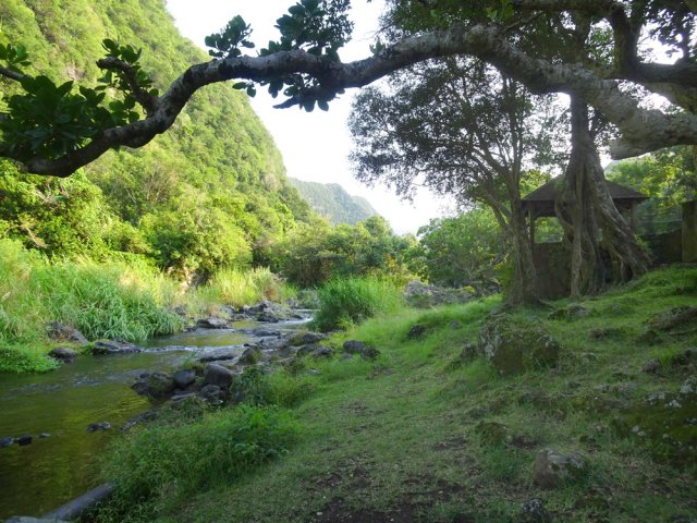 Les aires de pique-nique sont fréquentes et proches de l'eau