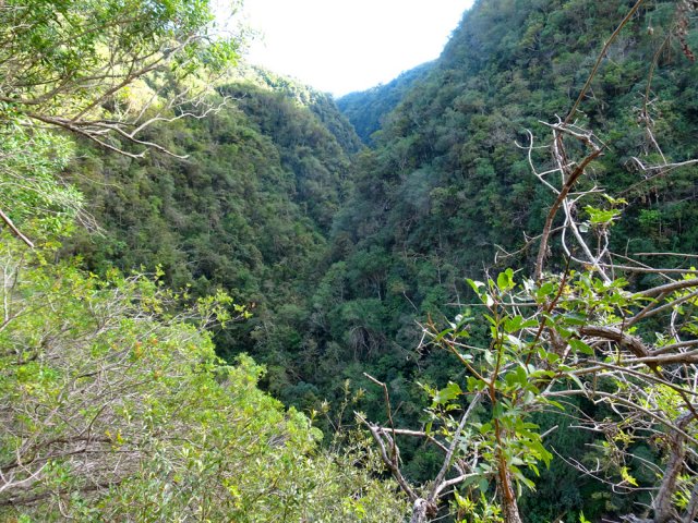 La profonde vallée arborée de la Ravine Argamasse