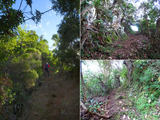 Quelques portions du Sentier le Doyen