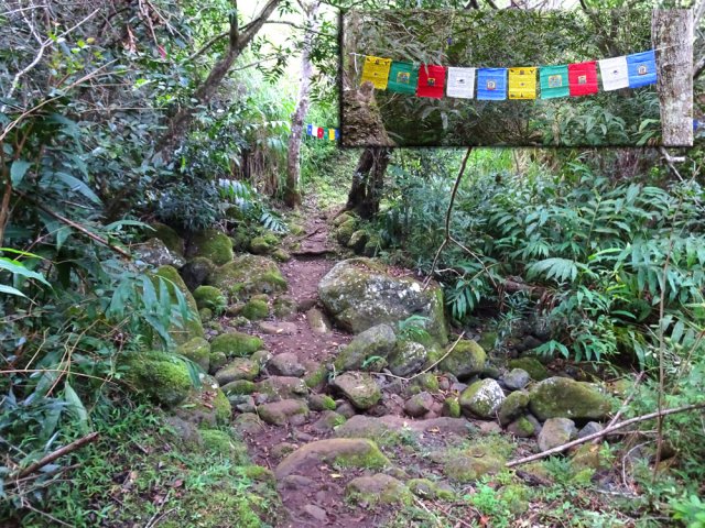 Traversée de la Ravine Jean Lauret, lieu de prière pour certains