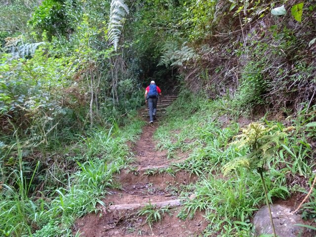 Remontée sur marches après la ravine