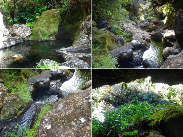 De plus en plus de bassins, toboggans et même une grande grotte