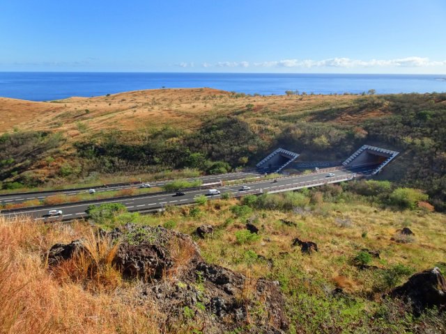 Superbes points de vue sur les tunnels et viaducs de la RN1