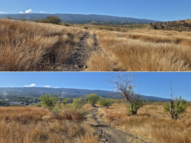 Paysage classique de cette savane atypique sous les tropiques