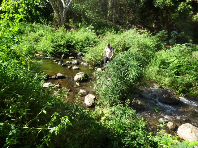 Traverser la Ravine Saint-Gilles sur les roches d'un gué naturel