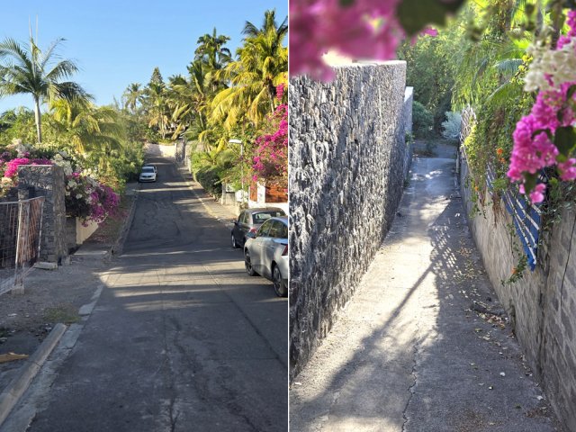 L'allée fleurie des Aigrettes et son raccourci entre les habitations